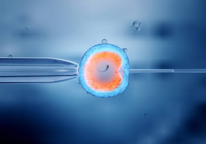 First Visit to an IVF Centre in Udaipur
